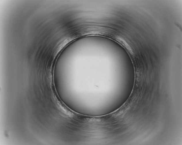 X0000097760890200803211712