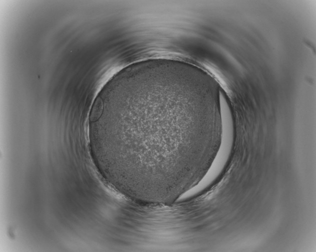 X0000097760891200803211711