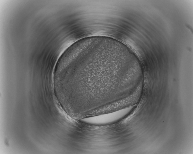 X0000097760892200803211711