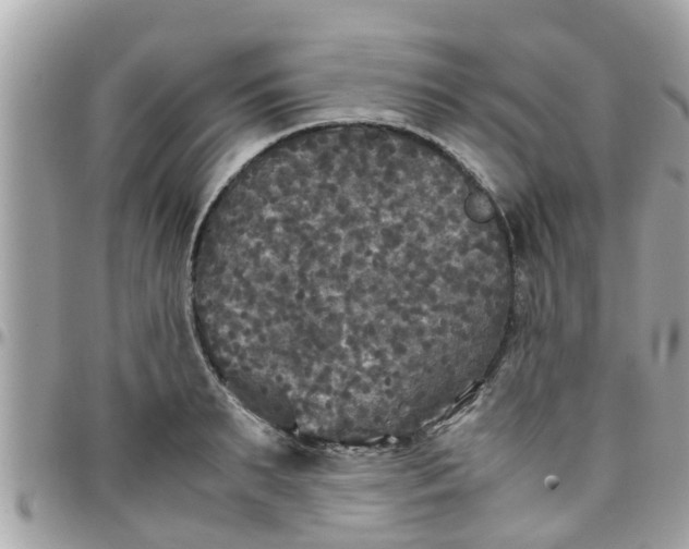 X0000097760895200803211711