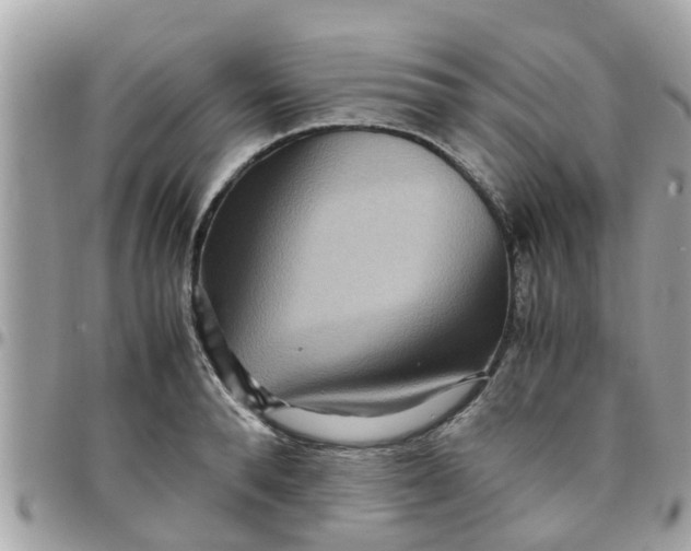 X0000097760896200803211711