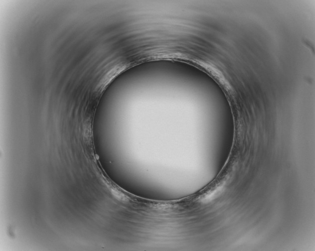 X0000097760897200803211711