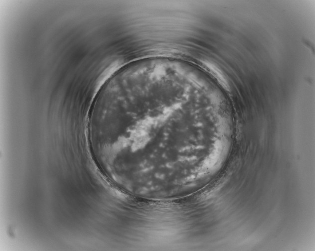 X0000097760899200803211711