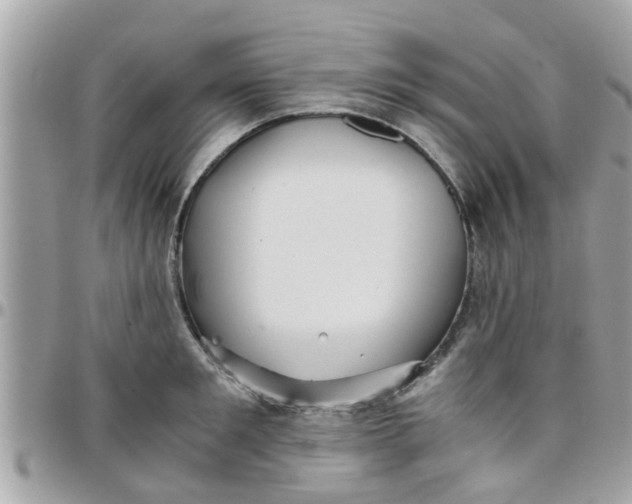 X0000097760901200803211711