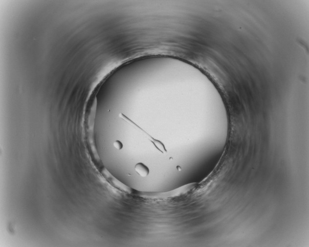 X0000097760902200803211711