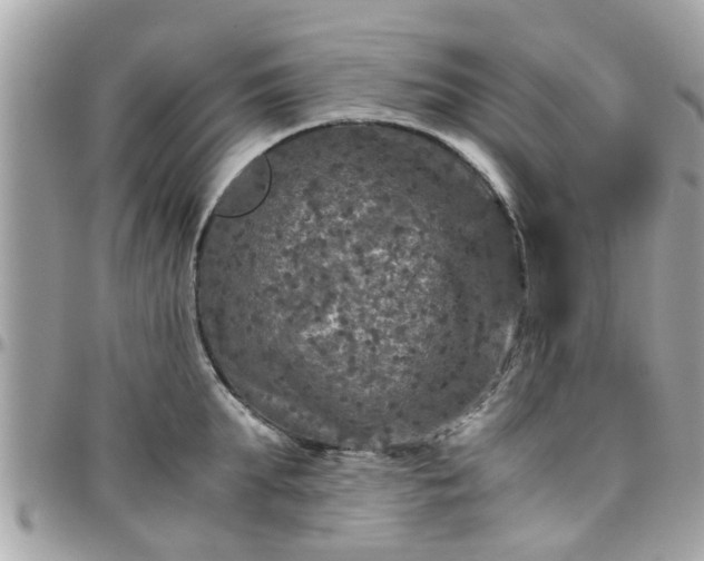 X0000097760903200803211711