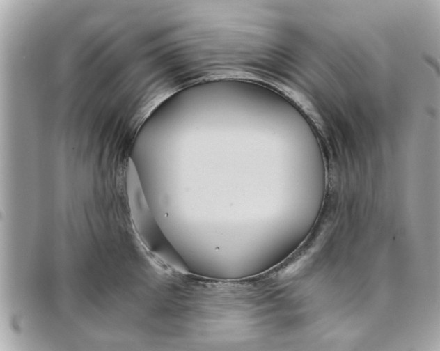 X0000097760905200803211711