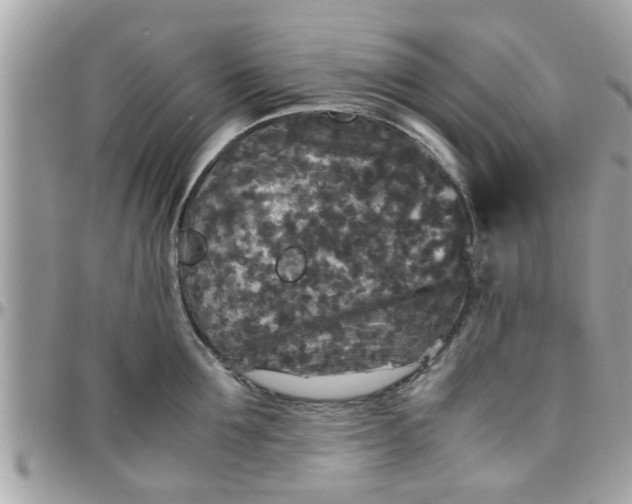 X0000097760907200803211711