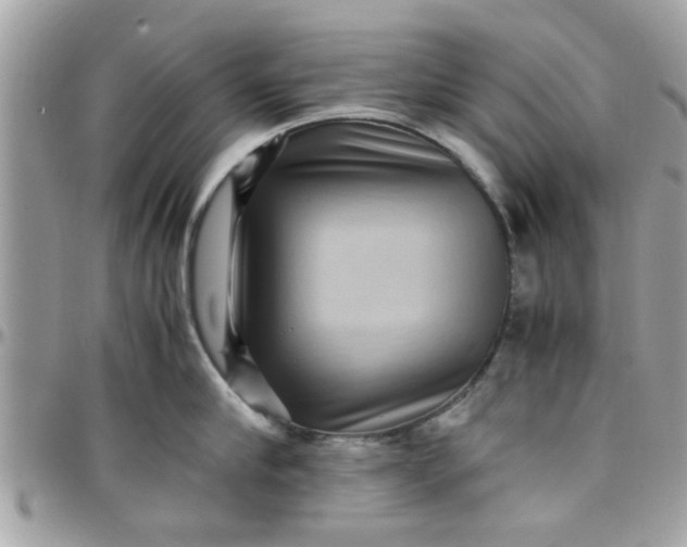 X0000097760910200803211711