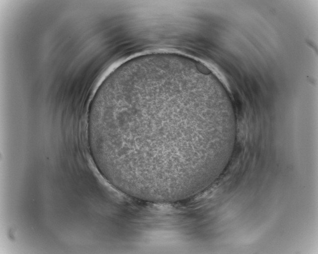 X0000097760911200803211711