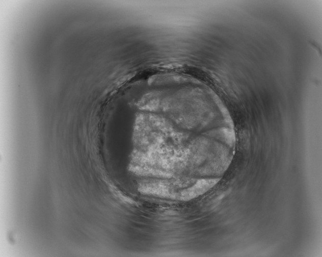 X0000097760913200803211711