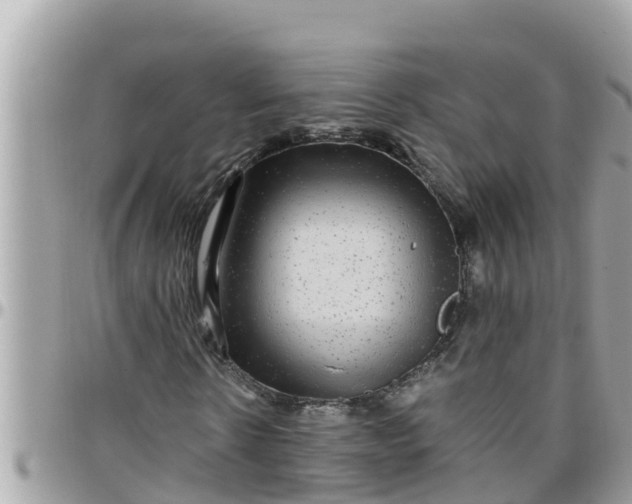 X0000097760914200803211711