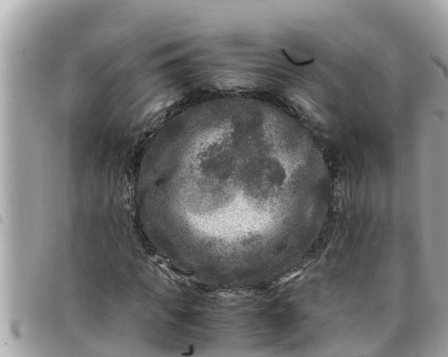 X0000097760917200803211711