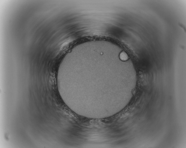 X0000097760918200803211711