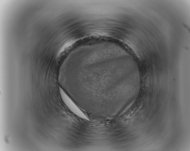 X0000097760919200803211711