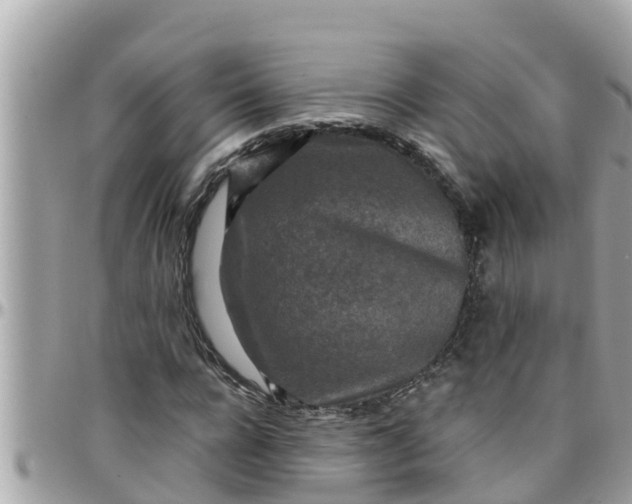 X0000097760920200803211711