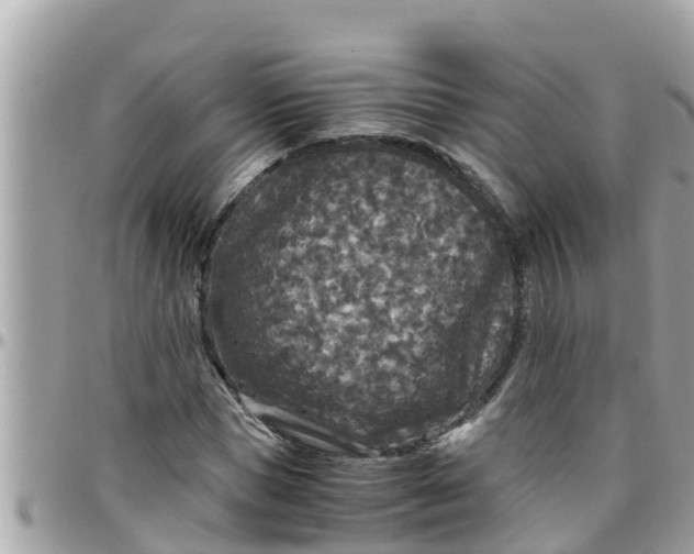 X0000097760921200803211711