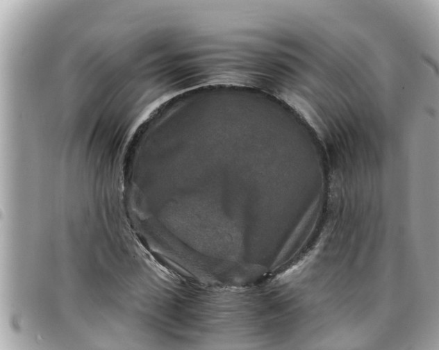 X0000097760923200803211711