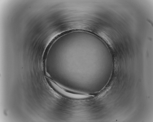 X0000097760924200803211711