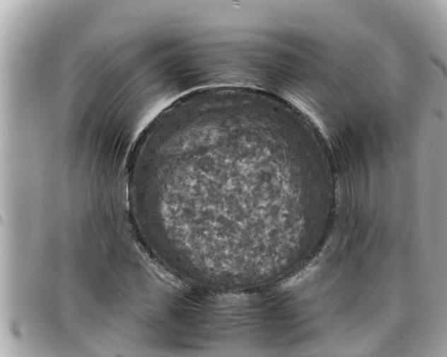 X0000097760925200803211711