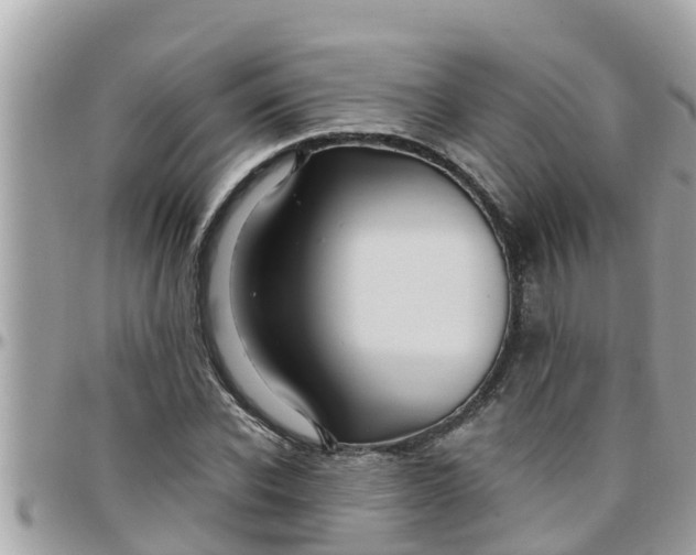 X0000097760926200803211711