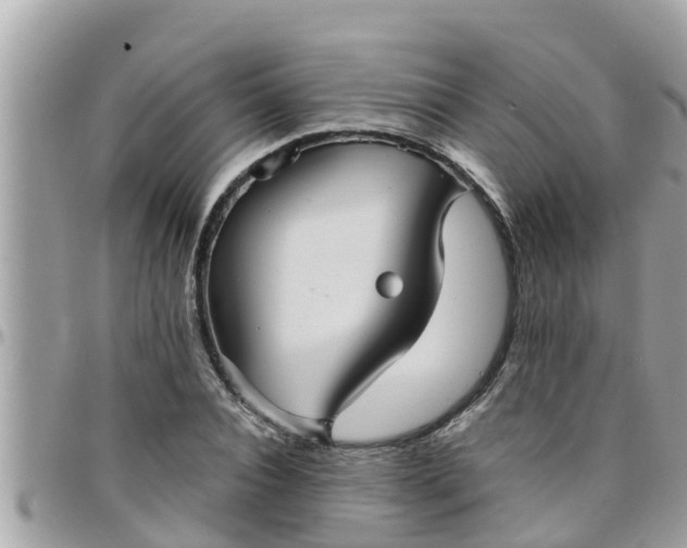 X0000097760928200803211711