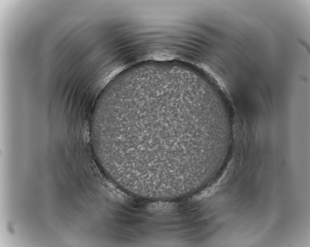 X0000097760929200803211711