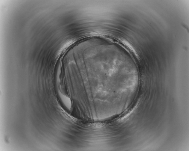 X0000097760930200803211711