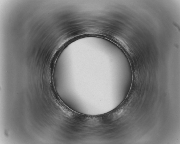 X0000097760931200803211711