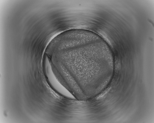 X0000097760932200803211711