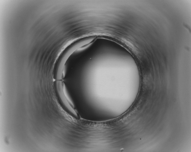 X0000097760934200803211711