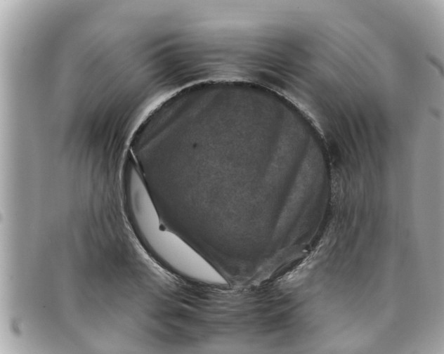 X0000097760935200803211711