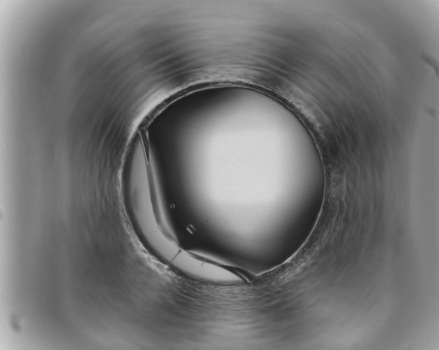 X0000097760936200803211711