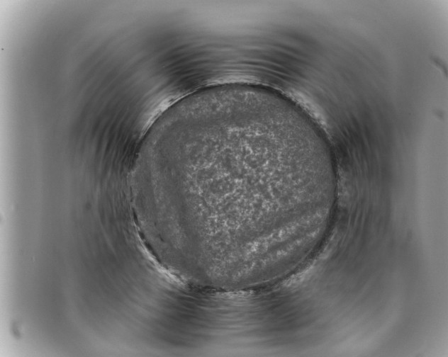 X0000097760937200803211711