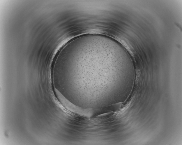 X0000097760939200803211711