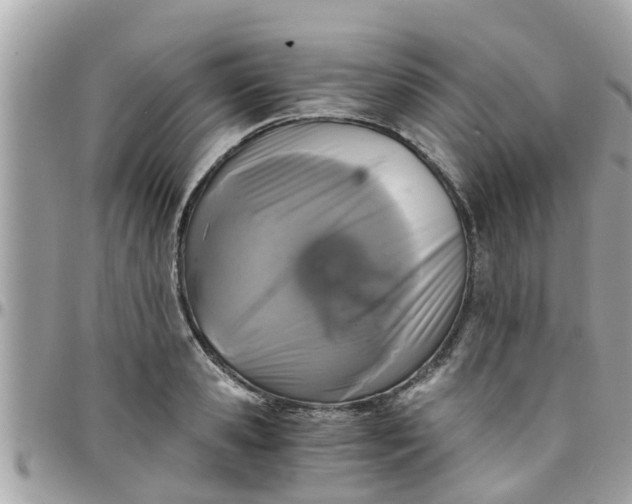 X0000097760941200803211711