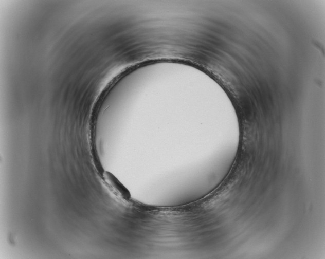 X0000097760942200803211711