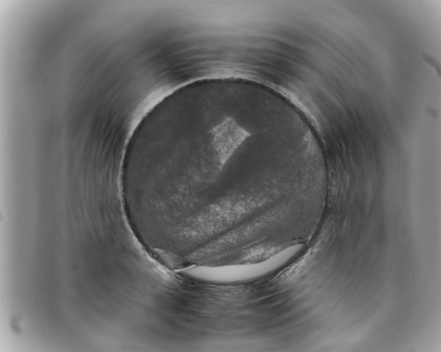 X0000097760943200803211711