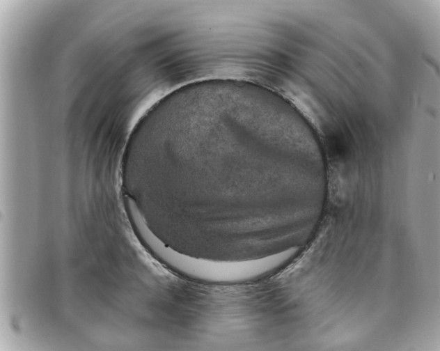 X0000097760944200803211711