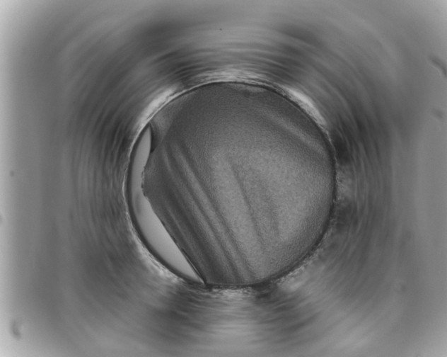 X0000097760946200803211711