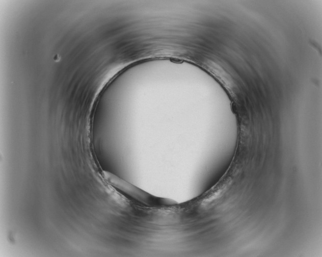 X0000097760948200803211711