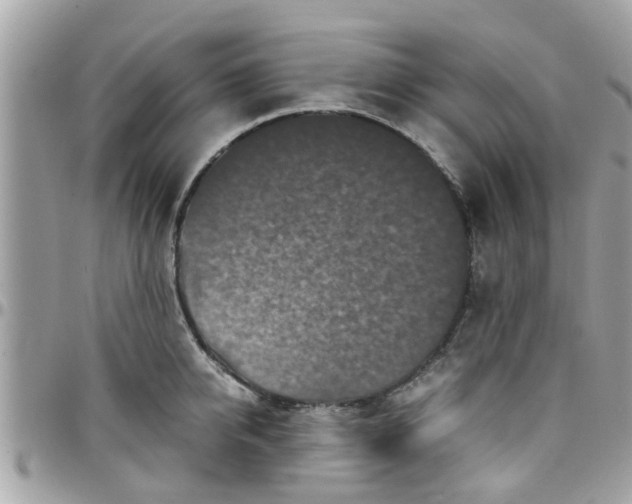 X0000097760950200803211711