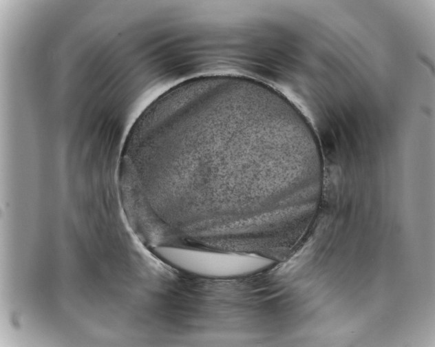 X0000097760951200803211711