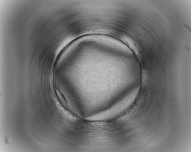 X0000097760952200803211711