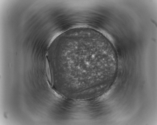 X0000097760953200803211711