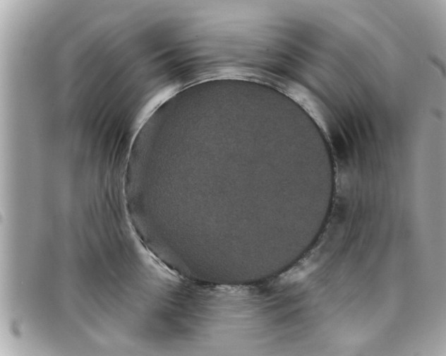 X0000097760954200803211711