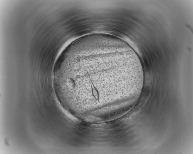 X0000097760955200803211711