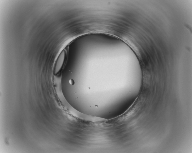 X0000097760956200803211711