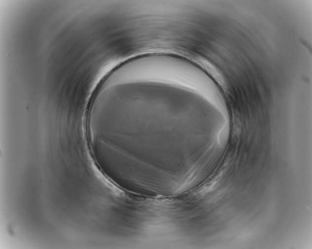 X0000097760958200803211711