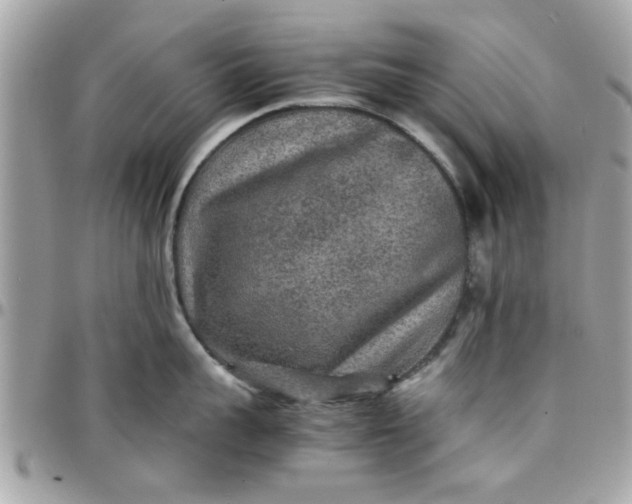 X0000097760959200803211711